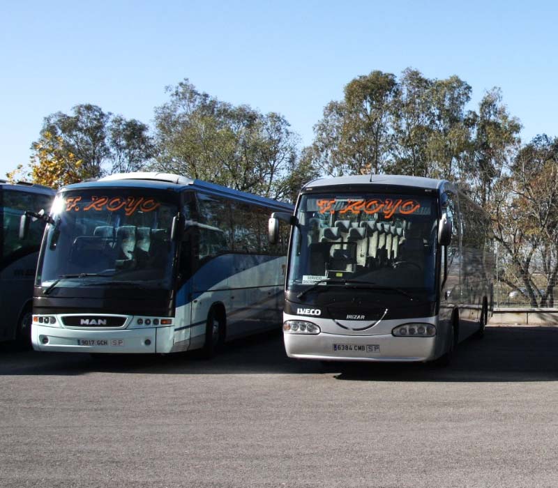 Dos autobuses estacionados uno al lado del otro en un aparcamiento.